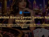 Dahibet-Bonus-Cevrim-Sartlari-Nasil-Hesaplanir-overlay-1790086984.jpg
